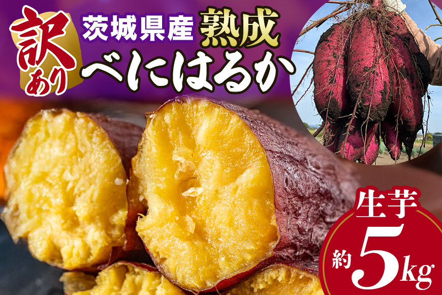 訳あり品！茨城県産熟成べにはるか 約5kg さつまいも サツマイモ 芋 いも 茨城県 那珂市 B15-005