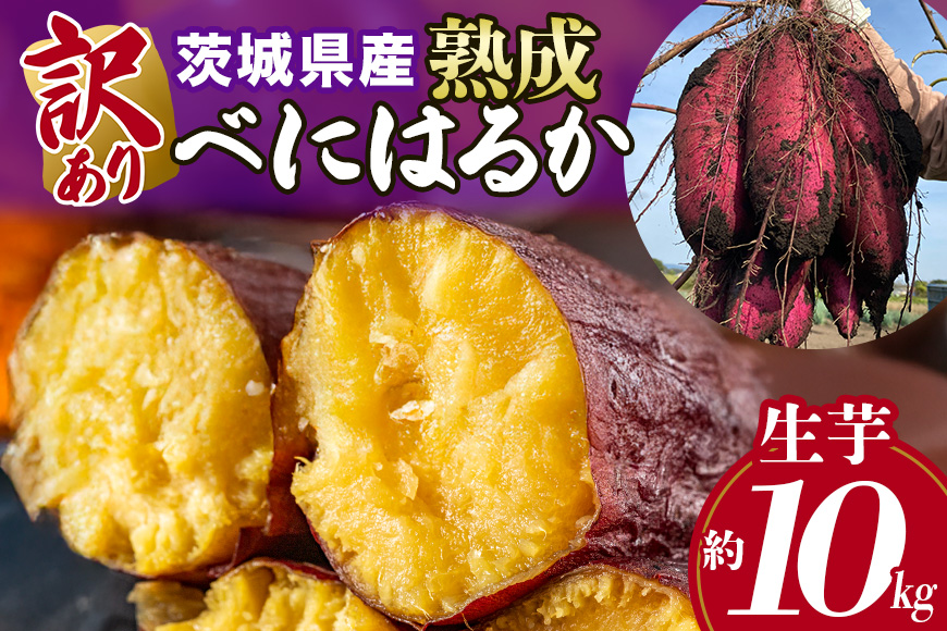 訳あり品！茨城県産熟成べにはるか 約10kg さつまいも サツマイモ 芋 いも 茨城県 那珂市 B15-006
