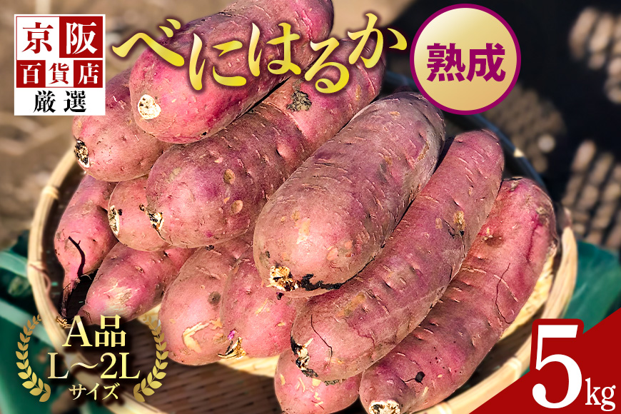 【京阪百貨店厳選】茨城県産べにはるか 5kg （熟成）[A品L～2Lサイズ] 芋 さつま芋 サツマイモ さつまいも B18-005
