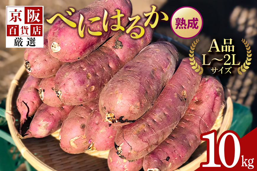 【京阪百貨店厳選】茨城県産べにはるか 10kg（熟成）[A品L～2Lサイズ] 芋 さつま芋 サツマイモ さつまいも B18-006