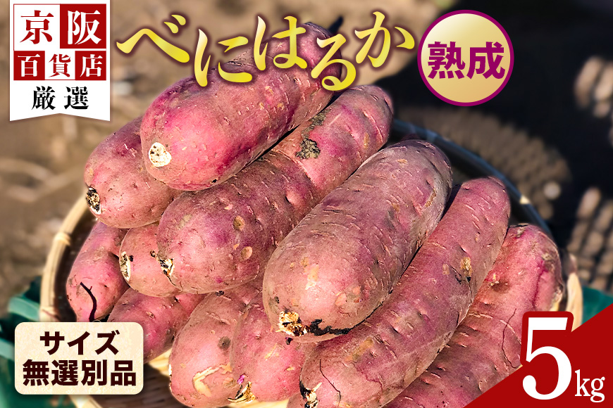 【京阪百貨店厳選】茨城県産べにはるか 5kg（熟成）[サイズ無選別品] 芋 さつま芋 サツマイモ さつまいも B18-007