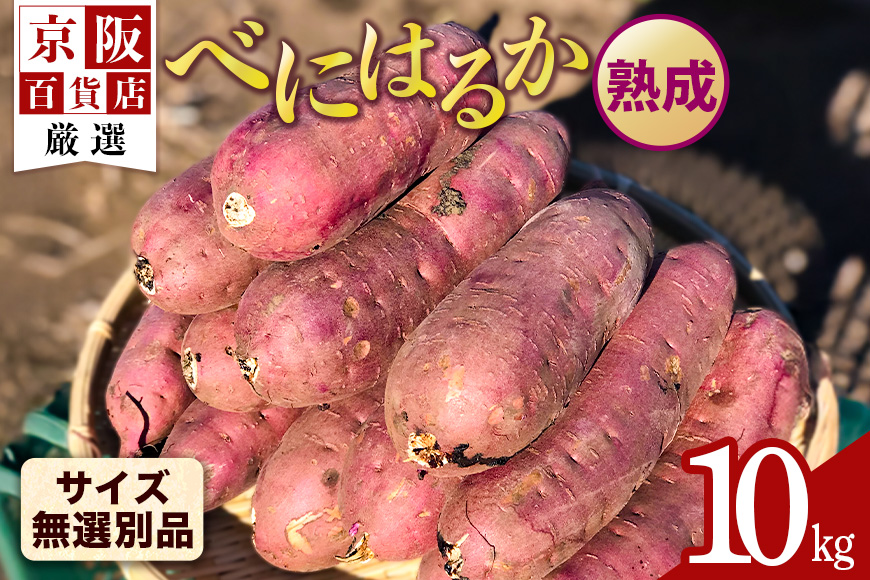 【京阪百貨店厳選】茨城県産べにはるか 10kg（熟成）[サイズ無選別品] 芋 さつま芋 サツマイモ さつまいも B18-008
