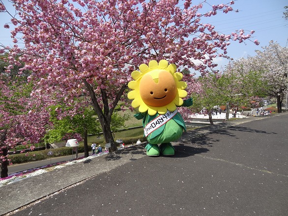 那珂市ANAのふるさと納税