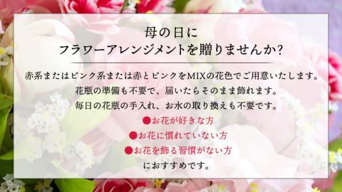 【 母の日 】 フラワー アレンジメント L 赤 ・ ピンク 系 ギフト プレゼント 花 お祝い 贈答 記念日 インテリア [CT085ci01]