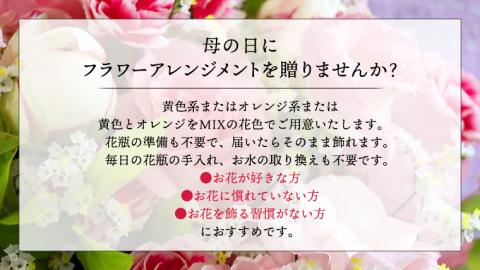 【 母の日 】 フラワー アレンジメント L　黄色 ・ オレンジ 系 ギフト プレゼント 花 お祝い 贈答 記念日 インテリア [CT086ci01]