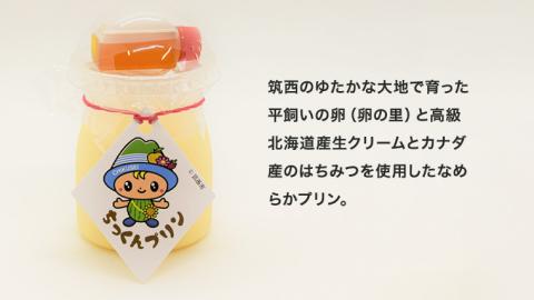 ＜ギフト＞ちっくんプリン12個セット[BW023ci]