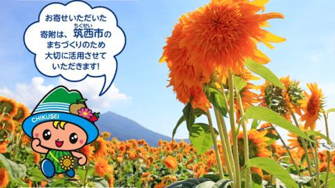 【返礼品なし】茨城県筑西市へのご寄附 2,000円[ZZ001ci]