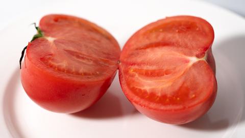 【先行予約】スーパーフルーツトマト大箱 3kg ×3箱  【大玉 20～35玉/1箱】糖度9度以上[AF064ci]