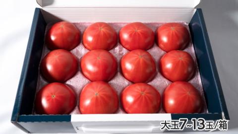 【先行予約】てるて姫小箱 1kg×3箱【7～13玉/1箱】糖度9度以上 スーパーフルーツトマト [AF071ci]