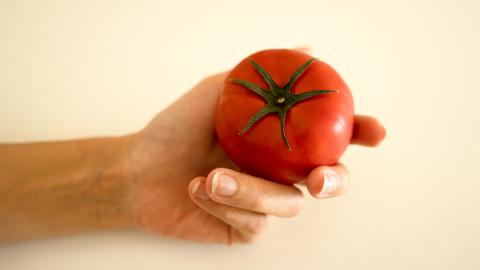 先行予約 【定期便】 3kg×3箱× 3回お届け！ スーパーフルーツトマト大箱 【大玉 20〜35玉/1箱】糖度9度以上[AF042ci]