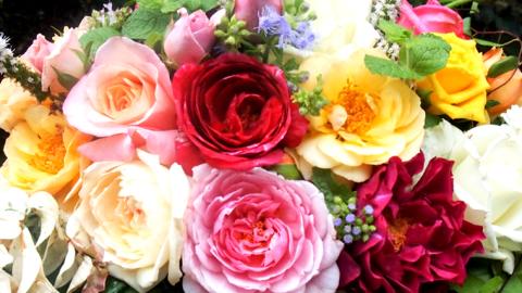 バラとハーブのプチアレンジメント（バラとハーブ）[BN005ci]