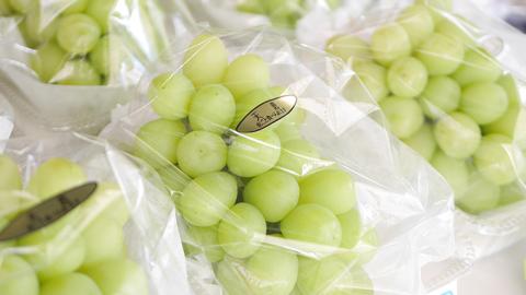 【先行予約】希少な新品種 天恵（9月中旬より順次発送） ぶどう 葡萄[AH004ci]