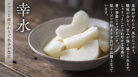 【 JA 北つくば 】 筑西ブランド 認証品 幸水 5kg 2026年産 先行予約 梨 果物 フルーツ なし ナシ 幸水梨 くだもの デザート 茨城 [AE008ci]