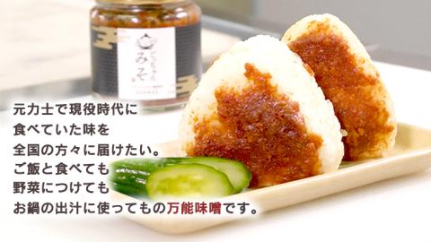 ごっちゃんみそ 味噌 国産 日本産 安心 安全 セット 甘口 辛口 詰め合わせ 詰合せ 調味料 [CR001ci]