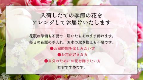 ≪ギフト≫季節のお花アレンジメントミニ アレンジメント 生花 ギフト プレゼント 誕生日 記念日 母の日 父の日 [CT011ci]
