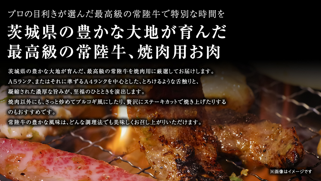 【 常陸牛 】 焼肉用 500g 茨城県共通返礼品 化粧箱入り A4 A5 ブランド牛 国産 牛肉 肉 お肉 黒毛和牛 和牛 ギフト 贈答 [AD009ci]