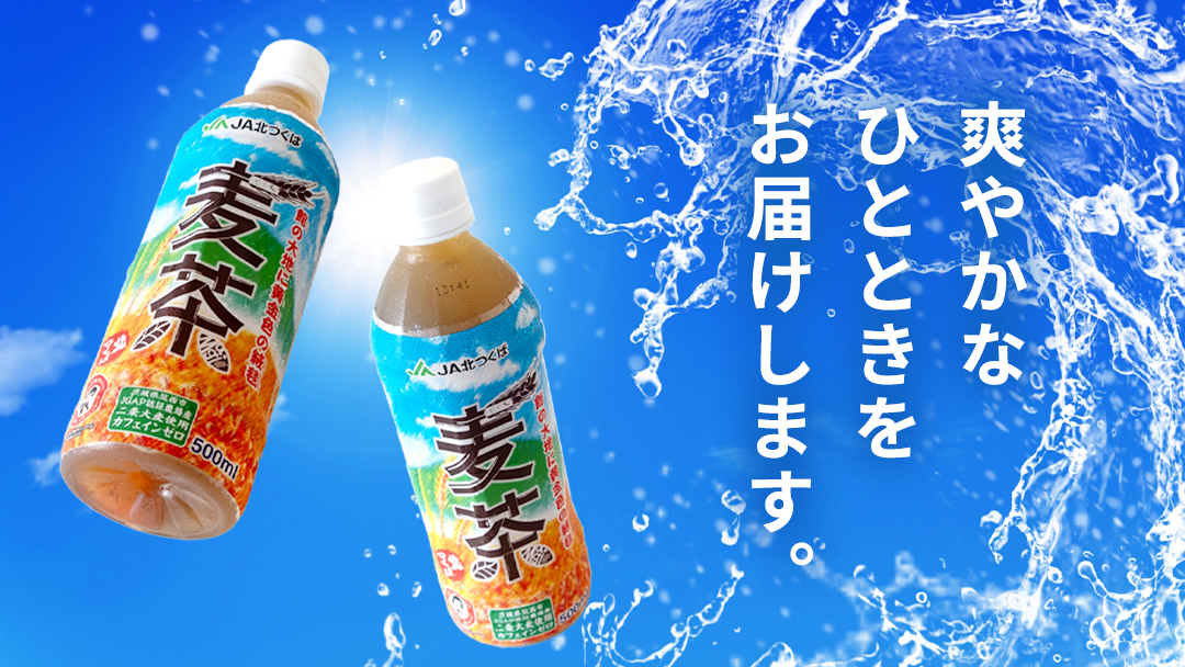 スピード発送!!【 JA 北つくば 】 JGAP認証 麦茶 1箱 ( 500ml × 24本 ) JGAP JA お茶 茶 ペットボトル 麦 大麦 二条大麦 ノンカフェイン カフェインゼロ スピード配送 [AE020ci]
