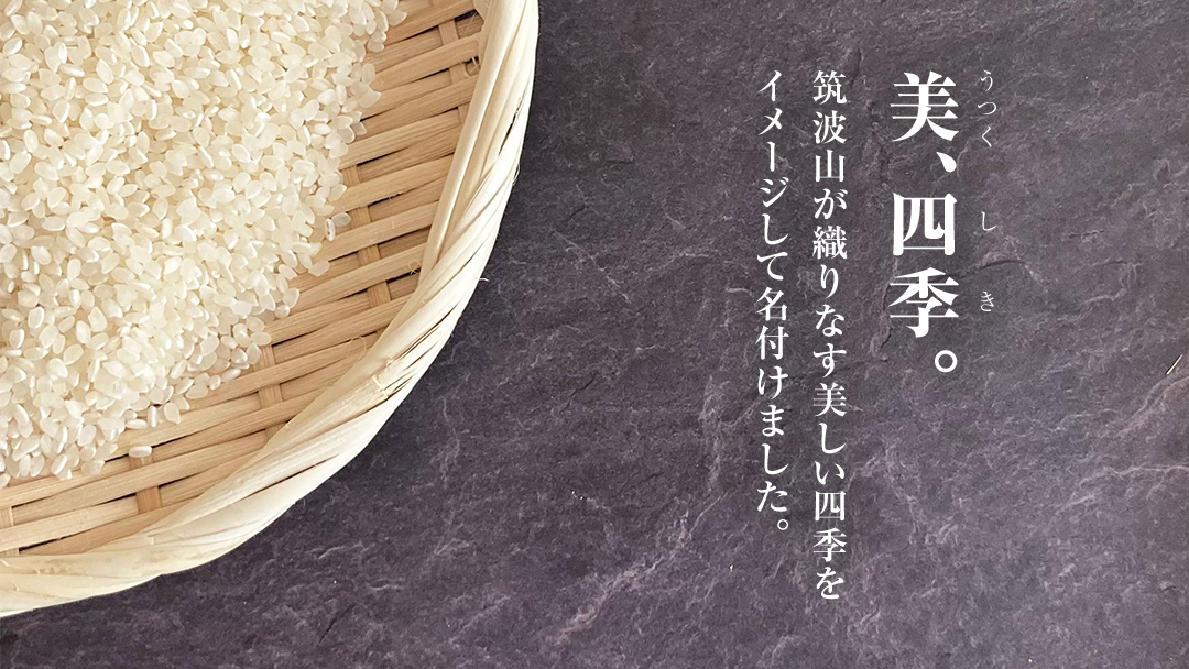 スピード発送!!【 JA 北つくば オリジナル ブランド米 】 うつくしき 10kg ( コシヒカリ ) ( 5kg × 2袋 ) 令和6年産 農協 JA 米 お米 白米 コメ こしひかり 茨城県 精米 新生活 応援 スピード配送 [AE045ci]