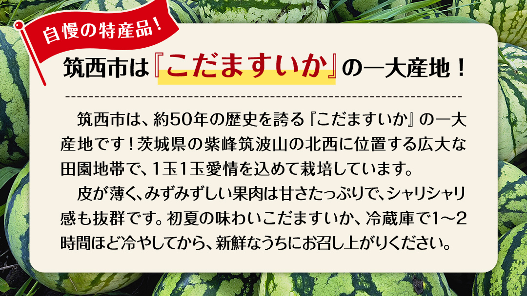 【 JA北つくば 】 こだますいか 「 スウィートキッズ 」 1玉 2026年産 小玉すいか 小玉 すいか スイカ 果物 フルーツ ピノガール 西瓜 くだもの デザート 茨城 [AE057ci]