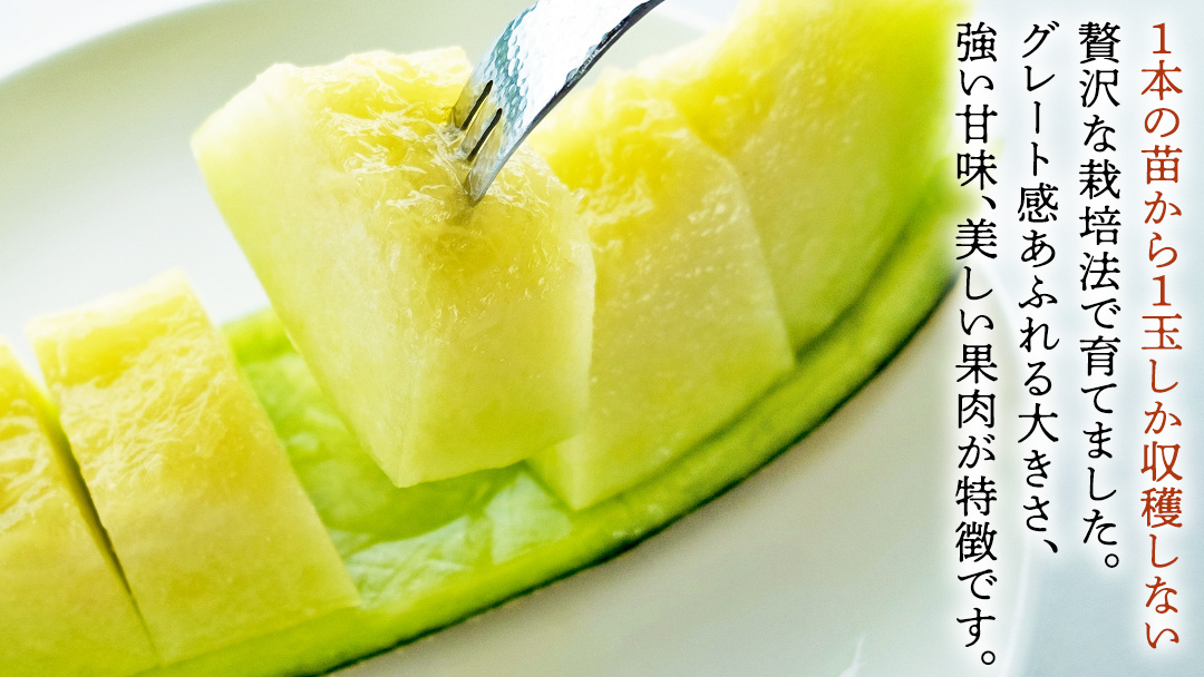 完熟 アールスメロン 2玉 2026年産 先行予約 メロン マスクメロン 青肉 果物 フルーツ 茨城県産 期間限定 数量限定 [AF003ci]