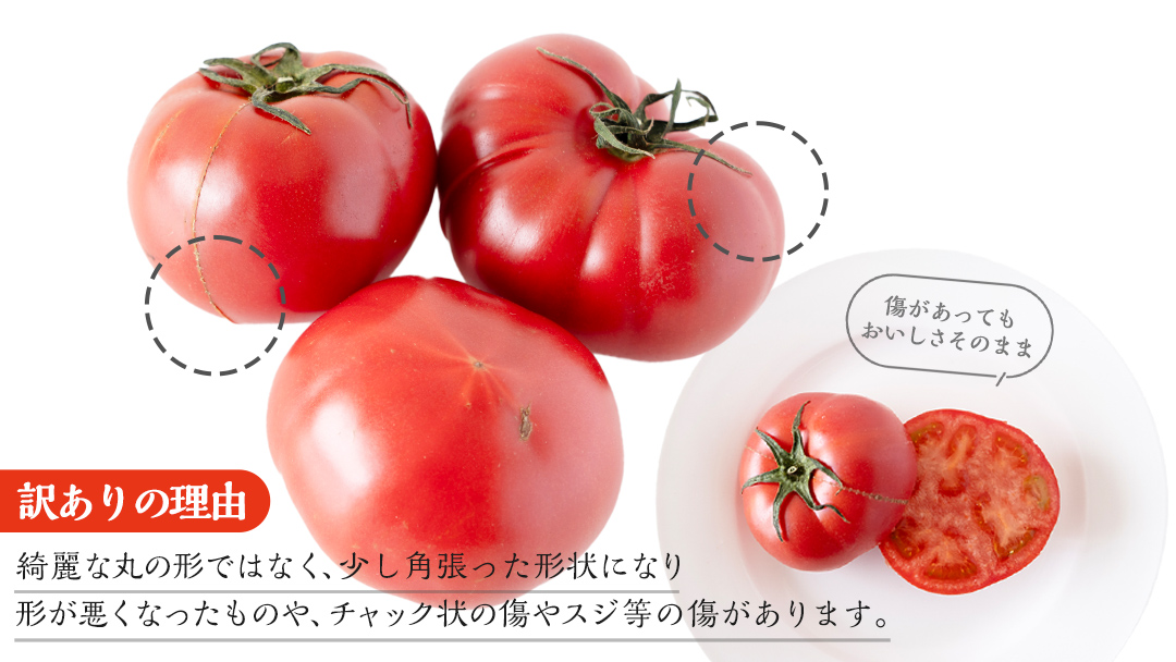 【 訳あり 】 スーパーフルーツトマト 大箱 約2.6kg × 1箱 【大玉 20～35玉】 2026年産 野菜ソムリエサミット 金賞 糖度9度 以上 野菜 フルーツトマト フルーツ トマト とまと 規格外 不揃い 傷 [AF055ci]
