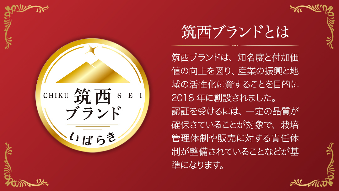 【 訳あり 】 こだますいか 「 ピノ・ガール 」 2玉 2026年産 先行予約 筑西ブランド こだまスイカ 小玉スイカ すいか スイカ フルーツ 果物 [AF081ci]