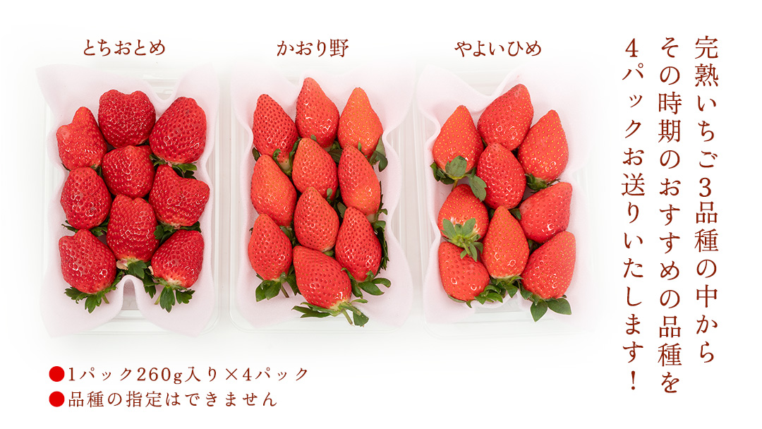 【 年内お届け 】 完熟 いちご 4パック 大粒 いちご 苺 イチゴ フルーツ 果物 [AF114ci]