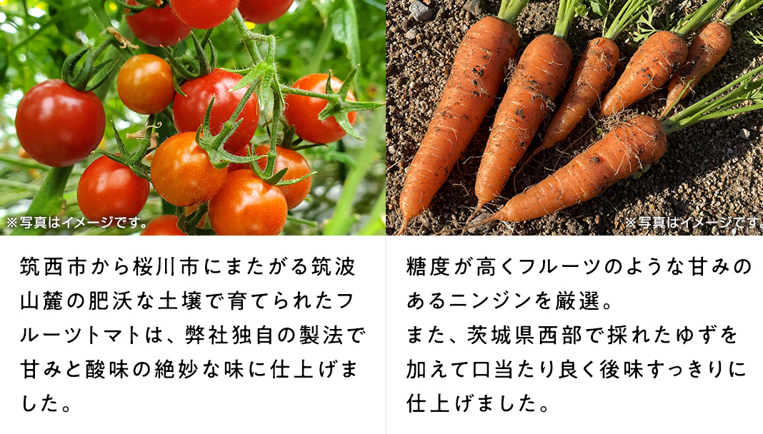 筑波山麓産　野菜ジュース詰め合わせ（トマト、にんじん）[BW009ci]