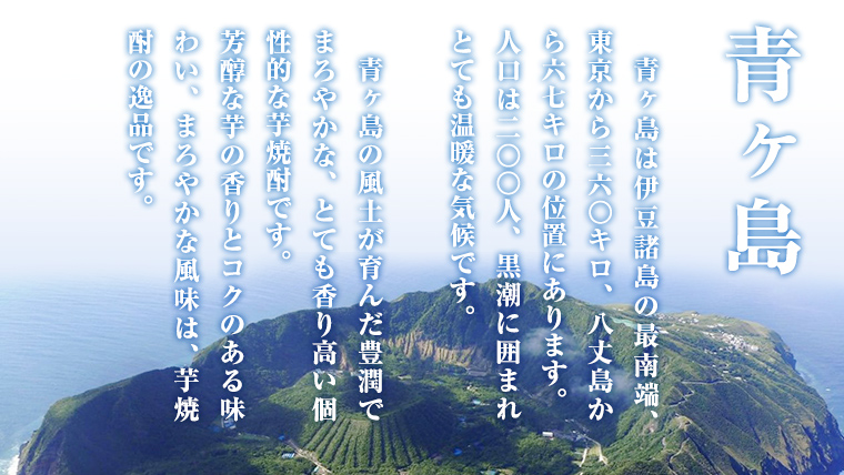 まぼろしの 芋焼酎 ！ 青酎 （筑西市産井上さつま使用） 1本 焼酎 お酒 酒 アルコール 芋 [BW063ci]