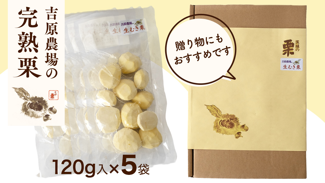 【 吉原農場 の 完熟栗 】 熟成 生むき栗 5袋 ( 120g × 5袋 ) 令和7年産 完熟 栗 くり クリ 栗ごはん 贈答 ギフト 果物 フルーツ 数量限定 旬 秋 冬 正月 おせち [CX003ci]