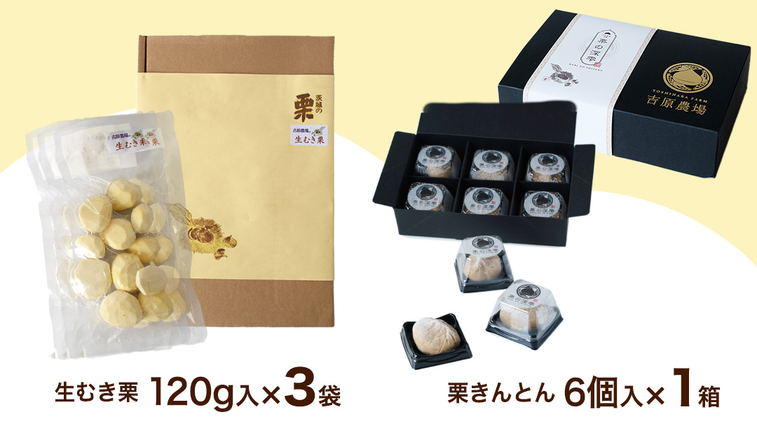 【 吉原農場 の 完熟栗 】 熟成 生むき栗 3袋・栗きんとん 1箱 セット 令和7年産 栗の深雫 完熟  むき栗 くり クリ 栗ごはん おかし お菓子 果物 フルーツ 数量限定 旬 秋 冬 正月 おせち [CX024ci]