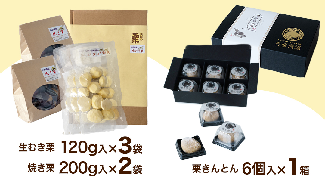 【 吉原農場 の 完熟栗 】熟成 栗 満喫 セット 令和7年産 栗の深雫 完熟  生むき栗 焼き栗 栗きんとん くり クリ 栗ごはん おかし お菓子 果物 フルーツ 数量限定 旬 秋 冬 正月 おせち [CX026ci]