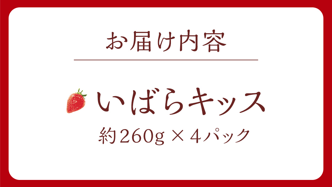 【 茨城いちごグランプリ 受賞 農園 】 完熟 いばらキッス 4パック 茨城県オリジナル品種 イチゴ 苺 フルーツ 果物 果実 [DY003ci]