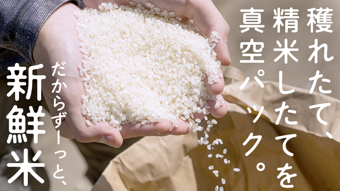 食べくらべ　精米 4種　真空1800g×4袋 令和7年産 米 お米 コメ 茨城県 新生活 応援 コシヒカリ ミルキープリンセス にじのきらめき つきあかり 食べ比べ　 [EX005ci]