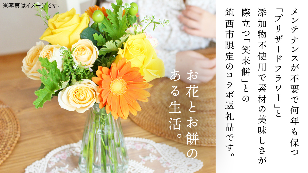 【 筑西市 ふるさと納税限定 コラボ 】 《 花色 おまかせ プリザーブド フラワー S 》《 笑来餅 2個 セット（白2個） 》 アレンジメント 生花 ギフト プレゼント 誕生日 記念日 敬老 餅 もち もち米 [ZZ048ci]