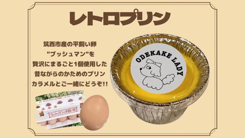 【ODEKAKE LADY】 レトロプリン ６個セット 贅沢 平飼い卵 昔プリン ぷりん 洋菓子 お菓子 スイーツ デザート [BW068ci]