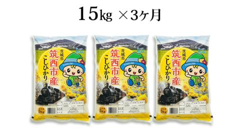 【 定期便 3ヶ月 】 茨城県筑西市産 コシヒカリ15kg 三ツ星 マイスター 米 コメ コシヒカリ こしひかり [CH016ci]