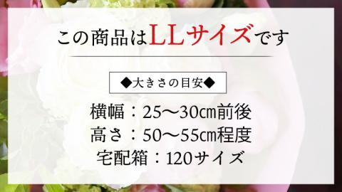 【 6ヶ月 定期便 】 癒し の フラワー セラピー ブーケ LLサイズ お花 花 はな リラックス リフレッシュ ストレス [CT118ci]