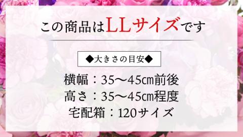 癒し の フラワー セラピー アレンジメント LLサイズ お花 花 はな アレンジ リラックス リフレッシュ ストレス [CT129ci]