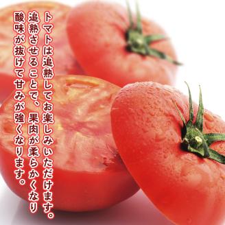 【先行予約】超大玉フルーツトマト大箱 3kg ×3箱【14～18玉/1箱】糖度7度以上[AF076ci]