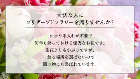 赤 ・ ピンク 系 プリザーブド フレーム アレンジ ギフト プレゼント 花 お祝い 贈答 記念日 [CT073ci]