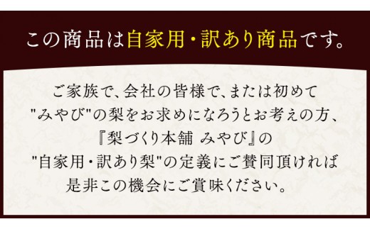 これぞ甘熟 『 幸水 』 5kg ( 自家用 ) 2026年産 先行予約 フルーツ 果物 国産 日本産 梨 ナシ なし 和梨 [DJ001ci]