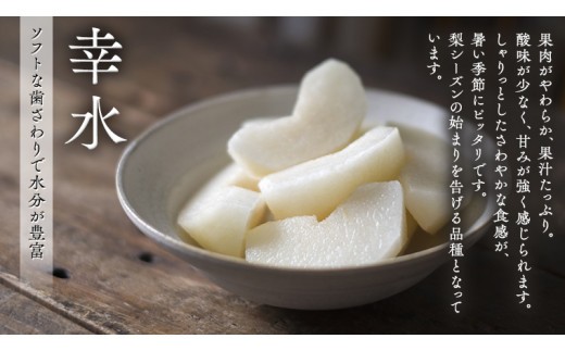 梨 2種 ( 幸水 ＆ 豊水 各10kg 合計20kg ) 定期便 セット 2026年産 先行予約 なし ナシ 赤梨 食べ比べ 食べくらべ [AE023ci]