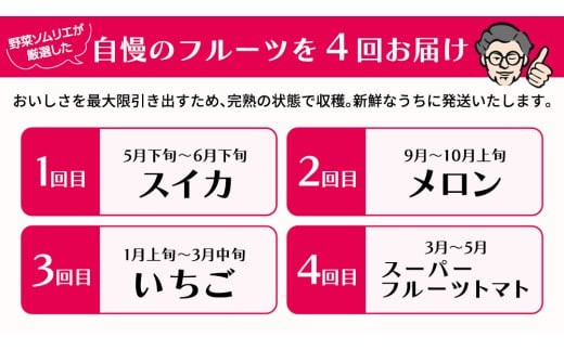 【 野菜ソムリエ 厳選 】 旬 の フルーツ 定期便 ( こだまスイカ スタート ) 4回 先行予約 果物 いちご イチゴ 苺 とちおとめ やよいひめ かおり野 すいか ピノガール トマト フルーツトマト メロン アールスメロン 新鮮 おすすめ ソムリエ 野菜 [AF101ci]