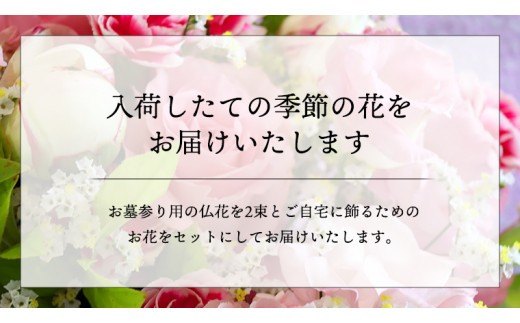 定期便 12か月 ＊ 仏花 セット S （ 束 ×2 ・ アレンジメント ） 定期 花 フラワー 生花 月命日 命日 墓前 お墓参り 供花 お悔やみ お供え [CT106ci]