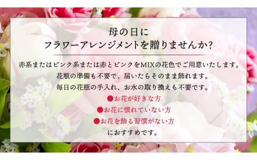 【 母の日 】 フラワー アレンジメント L 赤 ・ ピンク 系 ギフト プレゼント 花 お祝い 贈答 記念日 インテリア [CT085ci]