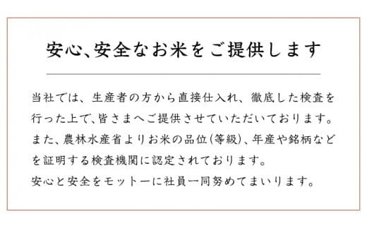 スピード発送!! 【 令和7年産 】 茨城県産 コシヒカリ 10kg ( 5kg × 2袋 ) 米 お米 コメ 白米 こしひかり 茨城県 精米 新生活 応援 新米 スピード配送 [DK002ci]