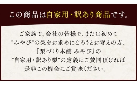 今一番人気 『 あきづき 』 5kg ( 自家用 ) 2026年産 先行予約 フルーツ 果物 国産 日本産 梨 ナシ なし 和梨 [DJ003ci]