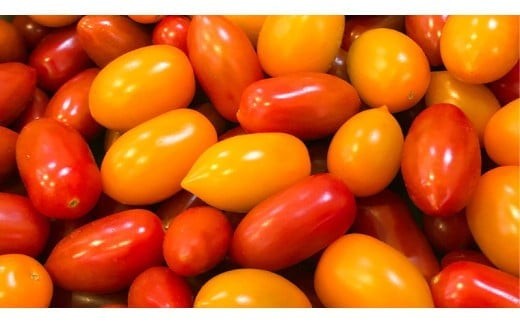 スーパーフルーツミニトマト 約1kg 2026年産 野菜 フルーツトマト フルーツ トマト とまと [AF096ci]