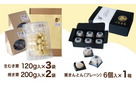 【 吉原農場 の 完熟栗 】熟成 栗 満喫 セット ( 栗の深雫 プレーン 6個入り ) 令和7年産 栗の深雫 完熟 生むき栗 焼き栗 栗きんとん プレーン くり クリ 栗ごはん おかし お菓子 果物 フルーツ 数量限定 旬 秋 冬 正月 おせち  [CX026ci]